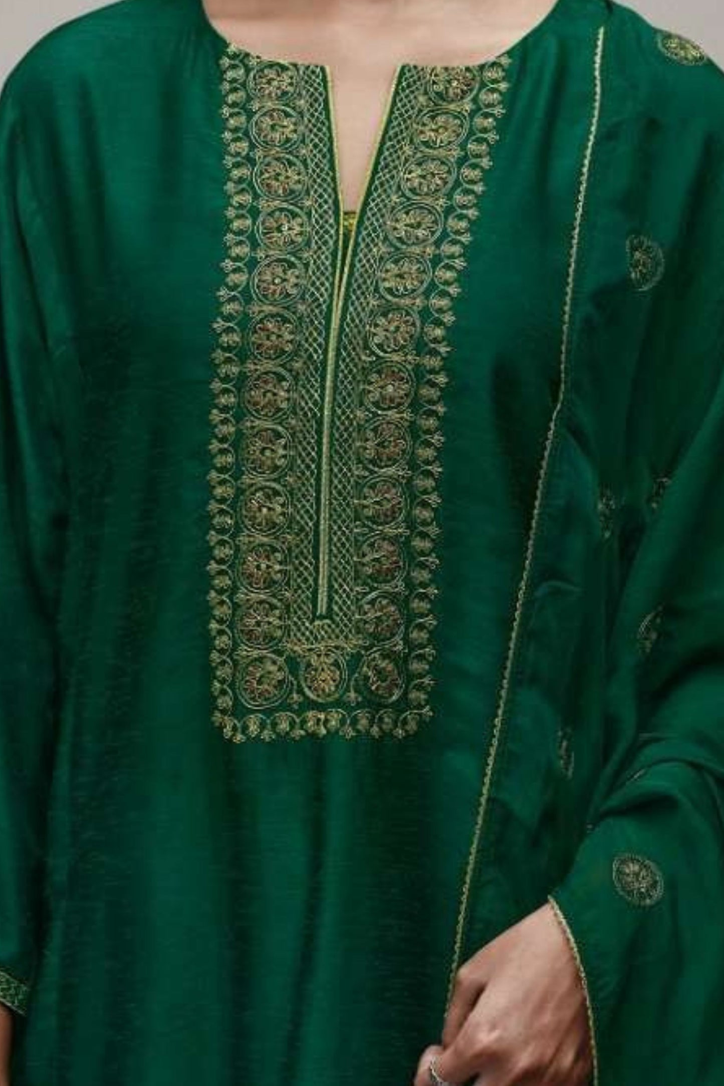 VAANI EXCLUSIVE FANCY PERFECTION | S1319-A