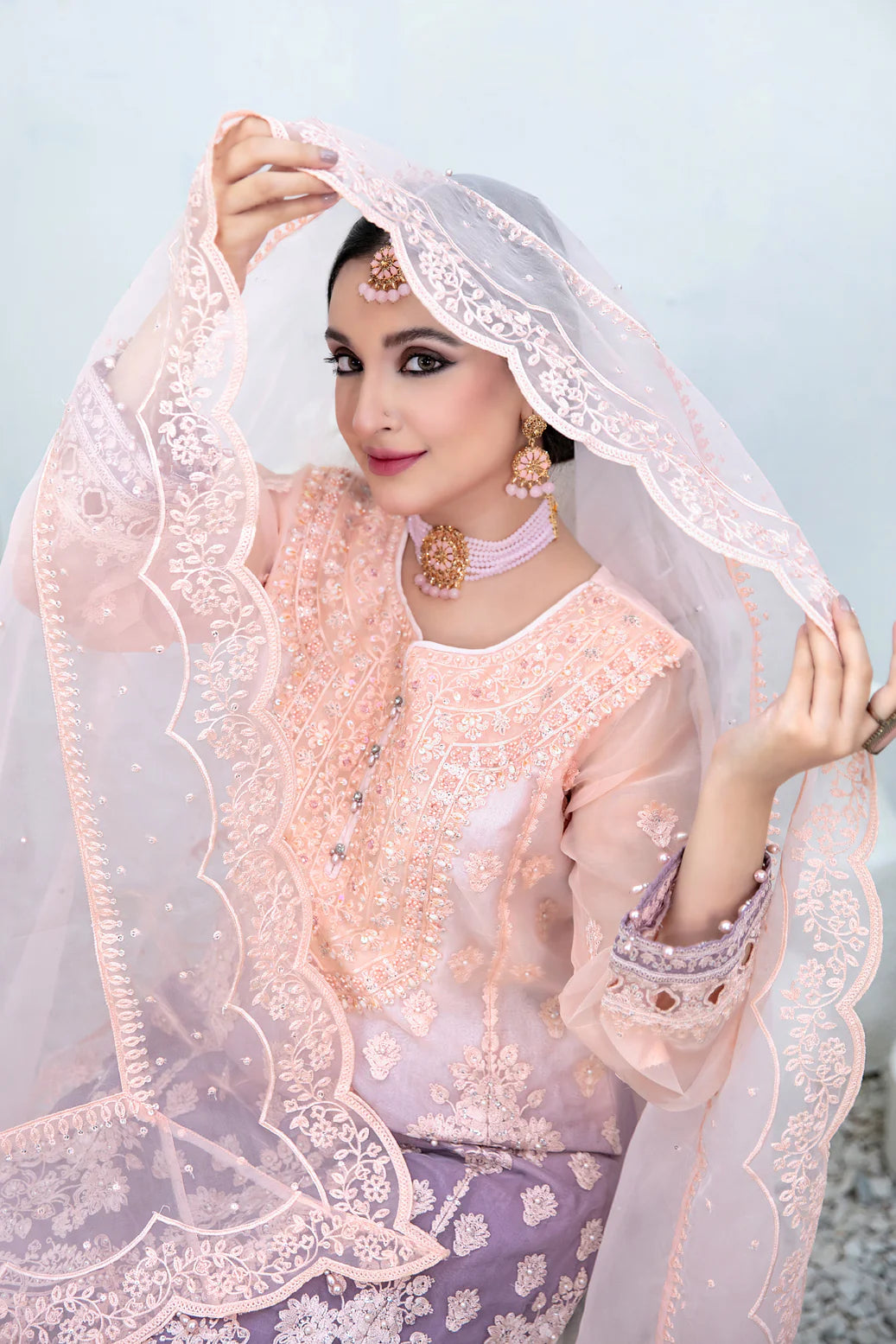 Alsaba Embroidered Fancy Collection | D 1344