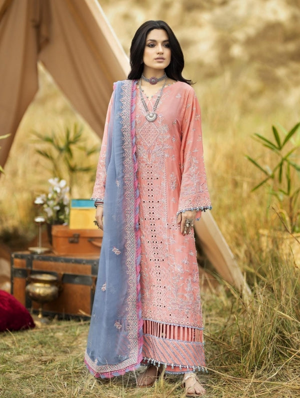 Lawnkari Embroidered 2023 | D3